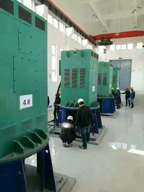 东昌某污水处理厂使用我厂的立式高压电机安装现场现货销售