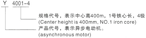 西安泰富西玛Y系列(H355-1000)高压东昌三相异步电机型号说明
